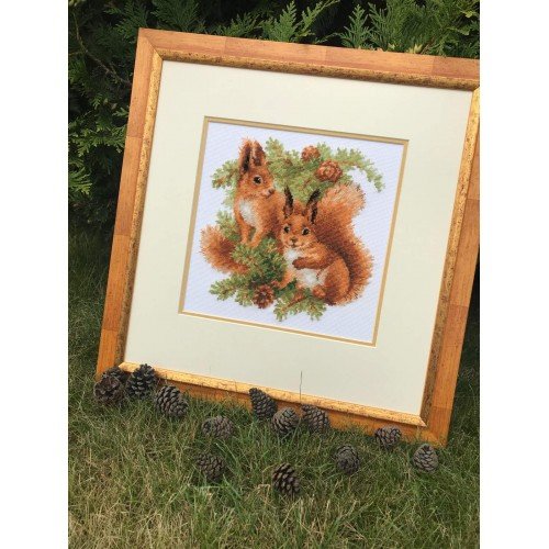 Riolis - Squirrels