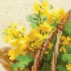 Riolis - Yellow Rapeseed