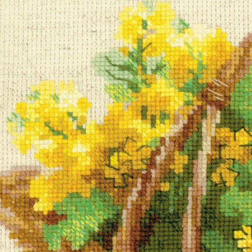 Riolis - Yellow Rapeseed