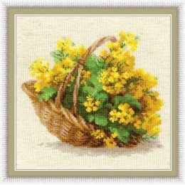 Riolis - Yellow Rapeseed