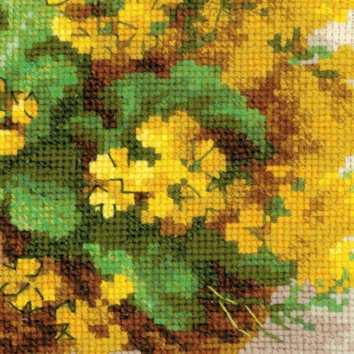 Riolis - Yellow Rapeseed