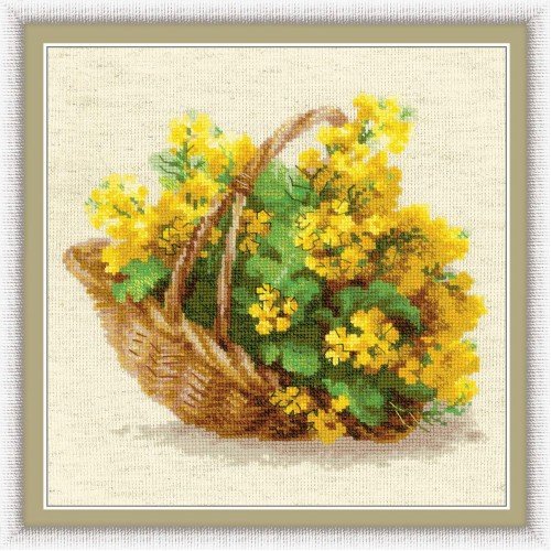 Riolis - Yellow Rapeseed