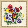 Riolis - Pansy Medley