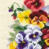 Riolis - Pansy Medley