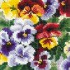 Riolis - Pansy Medley