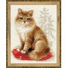 Riolis - Pet Cat