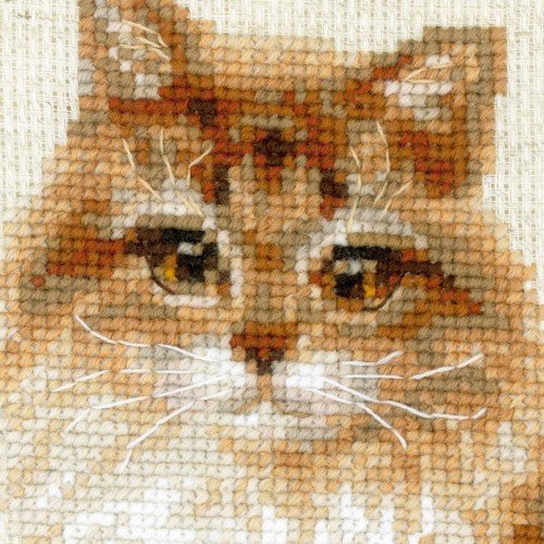 Riolis - Pet Cat