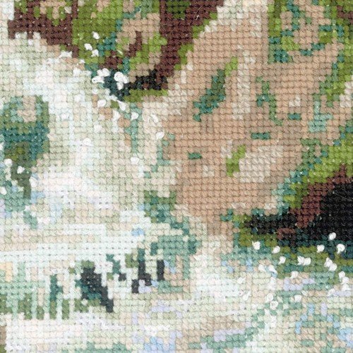 Riolis - Río de montaña