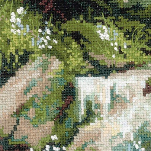 Riolis - Río de montaña