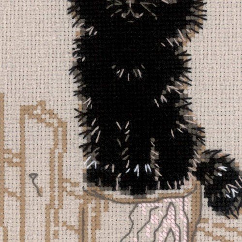 Riolis - Dreamer