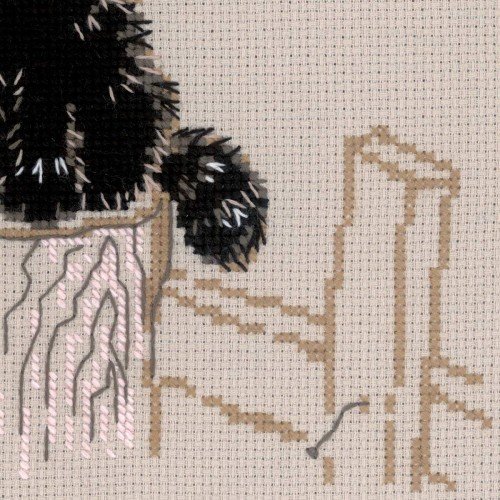 Riolis - Dreamer