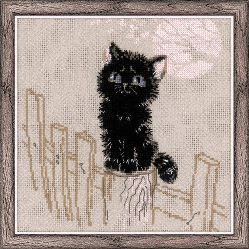 Riolis - Dreamer