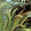 Riolis - Owner of the Jungle