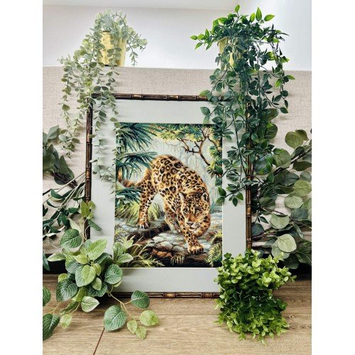 Riolis - Owner of the Jungle