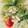 Riolis - Strawberry