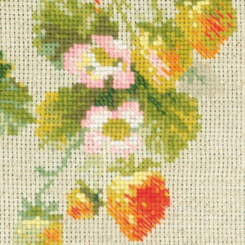Riolis - Strawberry