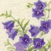 Riolis - Bellflower