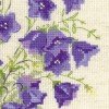 Riolis - Bellflower