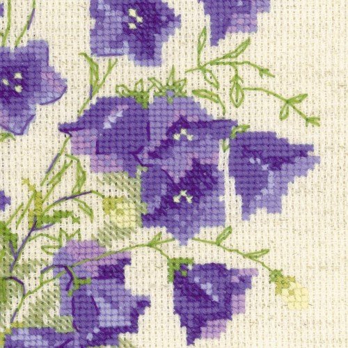 Riolis - Bellflower