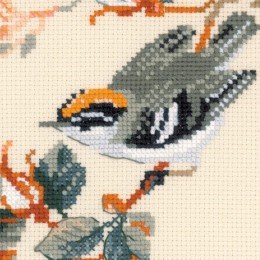 Riolis - Majestic Song