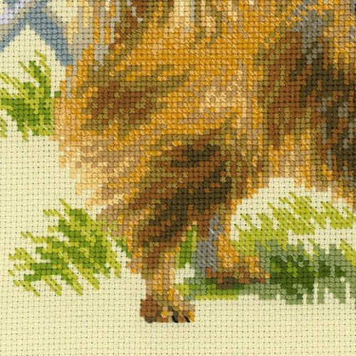 Riolis - Pomerania