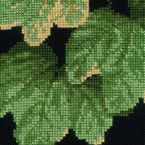 Riolis - Malva