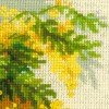 Riolis - Mimosa