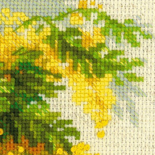 Riolis - Mimosa