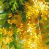 Riolis - Mimosa
