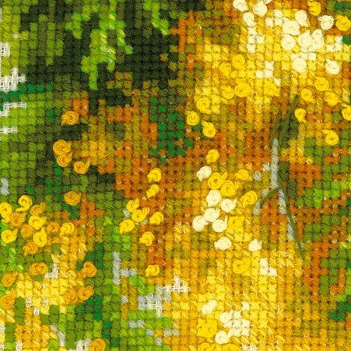 Riolis - Mimosa