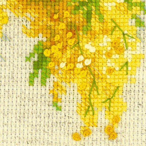 Riolis - Mimosa