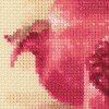 Riolis - Pink Pomegranate