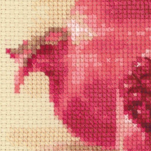 Riolis - Pink Pomegranate