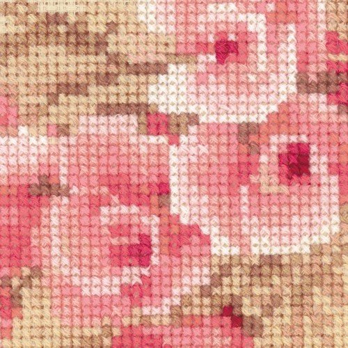 Riolis - Pink Pomegranate
