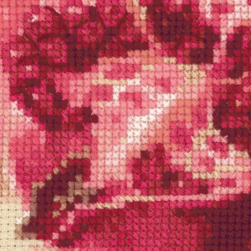 Riolis - Pink Pomegranate