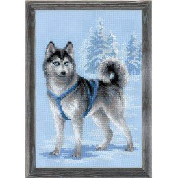 Riolis - Husky