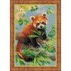 Riolis - Panda rojo