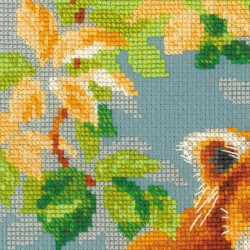 Riolis - Panda rojo