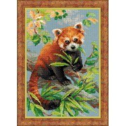Riolis - Red Panda