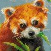 Riolis - Panda rojo