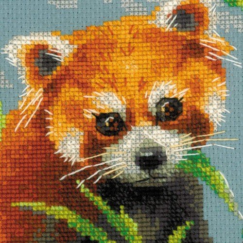 Riolis - Panda rojo