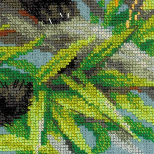 Riolis - Panda rojo