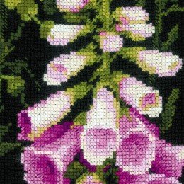 Riolis - Foxgloves