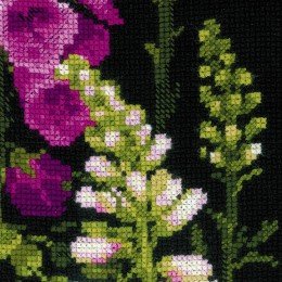 Riolis - Foxgloves