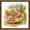 Riolis - Desert Foxes