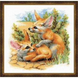Riolis - Desert Foxes