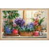 Riolis - Windowsill with Flowers