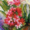 Riolis - Windowsill with Flowers