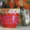 Riolis - Windowsill with Flowers
