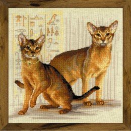 Riolis - Abyssinian cats